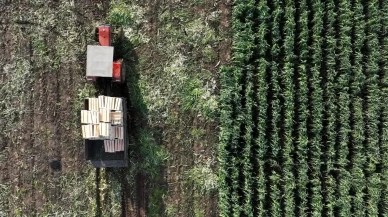 Yapay zeka destekli uydu takibi ile tarım alanlarının verimliliği artıyor