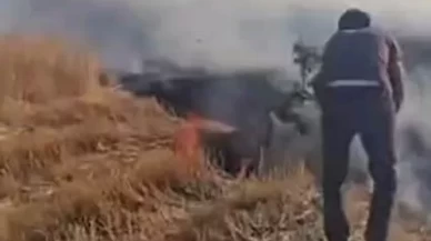 Diyarbakır'da korkutan yangın: 500 dönüm buğday ve anız küle döndü