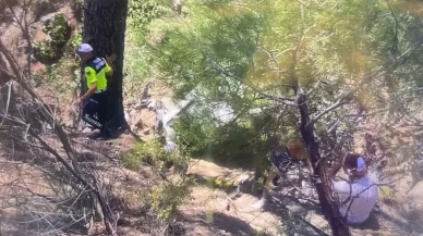 Balıkesir'de araç dere yatağına uçtu: 1 ölü