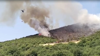 Bursa'da orman yangını