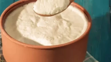 Buzlukta yoğurt mayası saklanır mı?