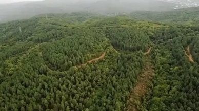 Muğla'da bazı bölgelerde ormanlara giriş yasaklandı