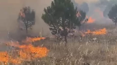 Balıkesir'de meralık alanda yangın