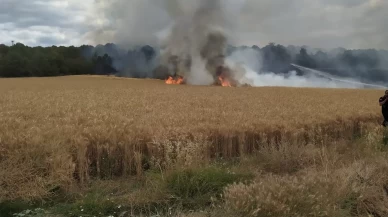 30 dönümlük buğday tarlası küle döndü