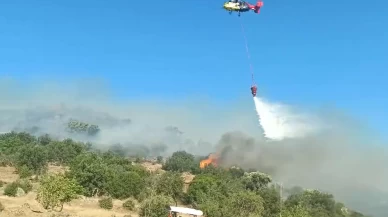 Aydın’da makilik alandaki yangın kontrol altına alındı