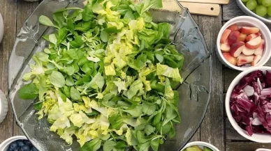 Lakto vejetaryenlik nedir?