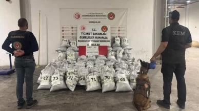 Gümrük Muhafaza'dan büyük darbe...