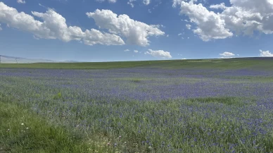 Diyadin'in zirveleri mor ve maviye büründü