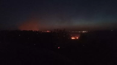 Mardin'deki orman yangını kontrol altına alındı