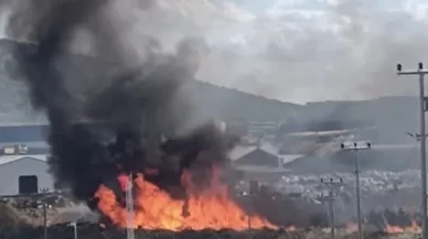 Bandırma OSB'de palet yangını