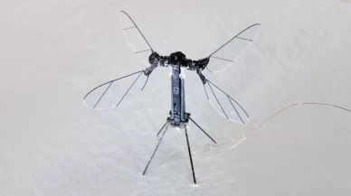 Sivrisinek değil, casus dron! Gizli keşifler için kullanılacak