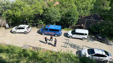 Karabük’te köpek katliamı! Jandarma harekete geçti