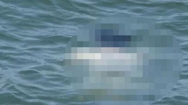 Kuşadası sahilinde şok! Denizde erkek cesedi bulundu