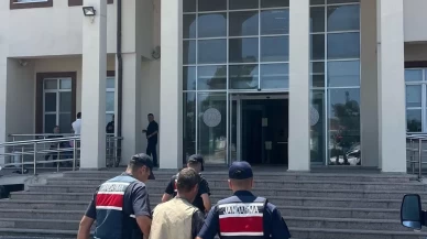 Çanakkale'de arazide 77 kök kenevir ele geçirildi: 1 tutuklama