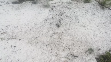 Tokat'ta dolu yağışı etkili oldu