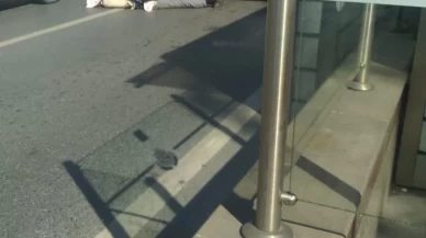 İstanbul'da feci kaza: Eyüpsultan’da yakıt tankerinin çarptığı yaya hayatını kaybetti