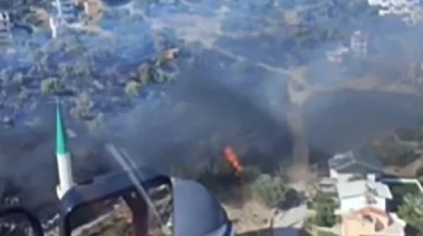 Dikili'de yangın çıktı