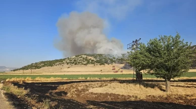 Gaziantep'te anız yakarken suçüstü yakalanan şahsa 47 bin TL ceza