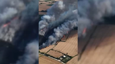 Çanakkale’de tarım arazisinde yangın
