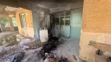 Elektrik arızası yangına neden oldu