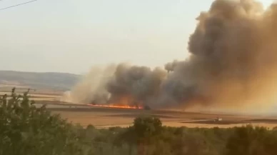 Araban Ovası cayır cayır yandı: 500 dönüm arazi küle döndü