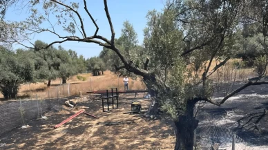 İzmir Foça’daki yangın korkuttu! Alevler evlerin bahçelerine sıçradı