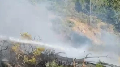 Muğla ve Aydın’da 3 ayrı orman yangını söndürüldü