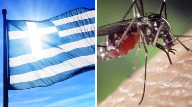 Yunanistan'da Batı Nil virüsüne karşı uyarı