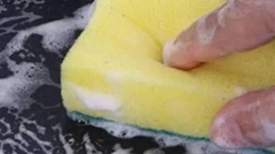 Mikrodalgada sünger temizliği! Bakterilere son veren yöntem