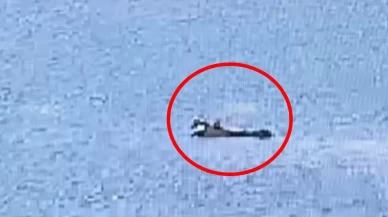 Adana'da yangın söndürme uçağı düştü