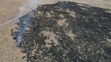 Alevler tarım arazisine metreler kala kontrol altına alındı: 250 dönüm otluk alan kül oldu
