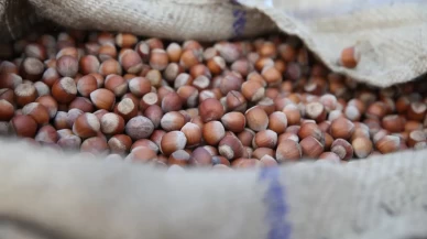 Türkiye, fındık ihracatında rekor kırdı!