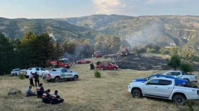 Beypazarı’nda 15 dönümlük tarla alevlere teslim oldu