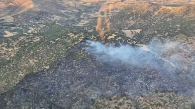 3 ildeki orman yangınları büyük oranda kontrol altında
