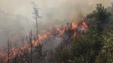 Lazkiye'de orman yangınına müdahalede 4. gün!