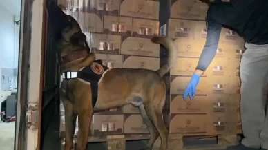 Osmangazi Köprüsü girişinde 9 kilo kokain maddesi ele geçirildi