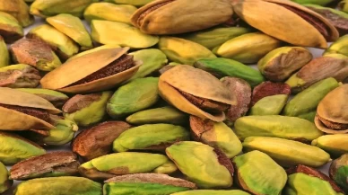 Yeşil altın olarak bilinen antep fıstığının sağlığa inanılmaz faydaları!