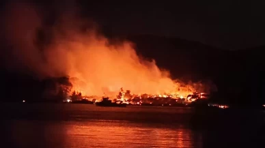 Milas'ta orman yangını!