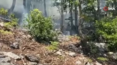 Osmaniye’deki orman yangını kontrol altına alındı