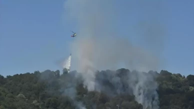 Sakarya'daki yangınla ilgili 2 kişi yakalandı