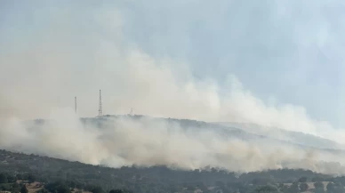 Uşak’ta tarım arazisinde başlayan yangın meşelik alana sıçradı