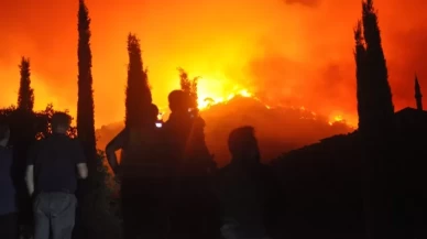 Türkiye alevlerle mücadele ediyor! Afetzedelere 21 milyon 603 bin 400 lira yardım