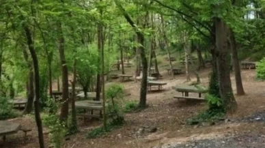 Bolu'da kontrollü piknik alanlarında "ateşli piknik" yasaklandı