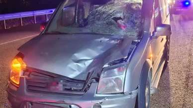 Elazığ'da yaya geçidinde feci kaza: Bir kadın hayatını kaybetti