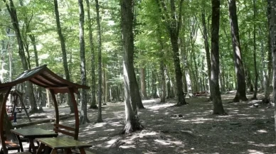 Karaman'da ormanlara girişler yasaklandı