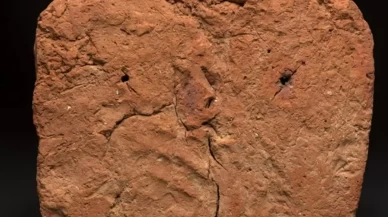 Antik Mısır mezarında 4 bin yıllık el izi bulundu