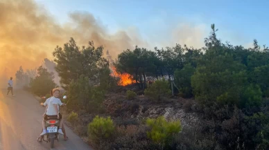 Cunda Adası'ndaki orman yangını büyümeden söndürüldü