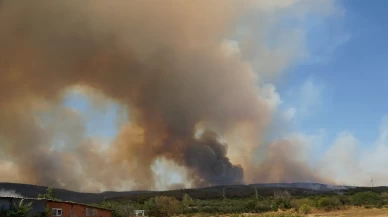 Tekirdağ'da şiddetli rüzgar yangını büyüttü! Otoyol kapatıldı, alevler ilerliyor