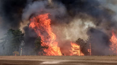 Bursa’da 3 gündür süren orman yangınında alevler yerleşim yerlerine yaklaştı