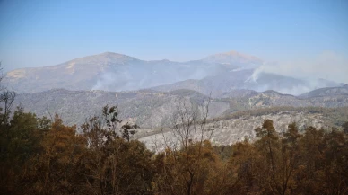 Lazkiye alev alev! 15 bin hektar küle döndü, müdahale sürüyor